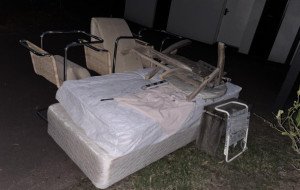 What Do Backyard Cleaning Services Usually Include?