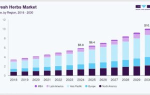 Fresh Herbs Market Size and Forecast Point to Sustained Industry Expansion