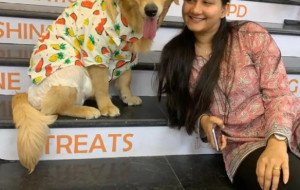 How to Find Age-Appropriate Toys at a Pet Toys Shop in Dwarka