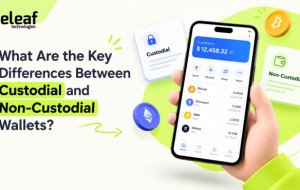 What Are the Key Differences Between Custodial and Non-Custodial Wallets?