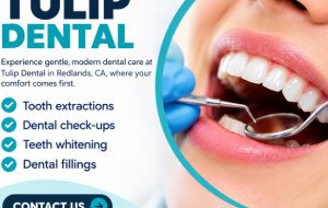 How to Choose the Best Family Dentist in Redlands, CA