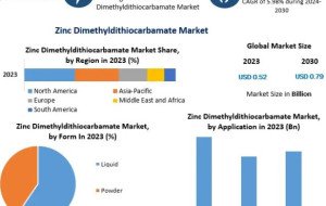 Zinc Dimethyldithiocarbamate (ZDMC) Market Rubber Industry Applications and Trends – Report by MMR
