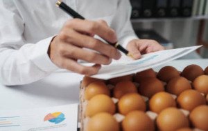 Food Traceability Market: Digital Transparency and Food Safety Are Transforming the Global Supply Chain