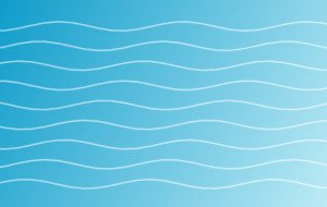 Custom Pool Design Decisions to Settle Before the Drawings Start