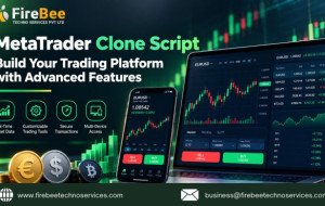 What Are Meta Trader Clone Software's Procedures for Trading