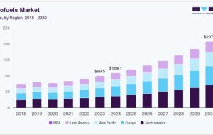 Biofuels Market Spain Commercial Opportunities